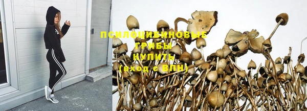 МДМА Белокуриха